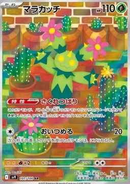 Maractus (sv9 101)