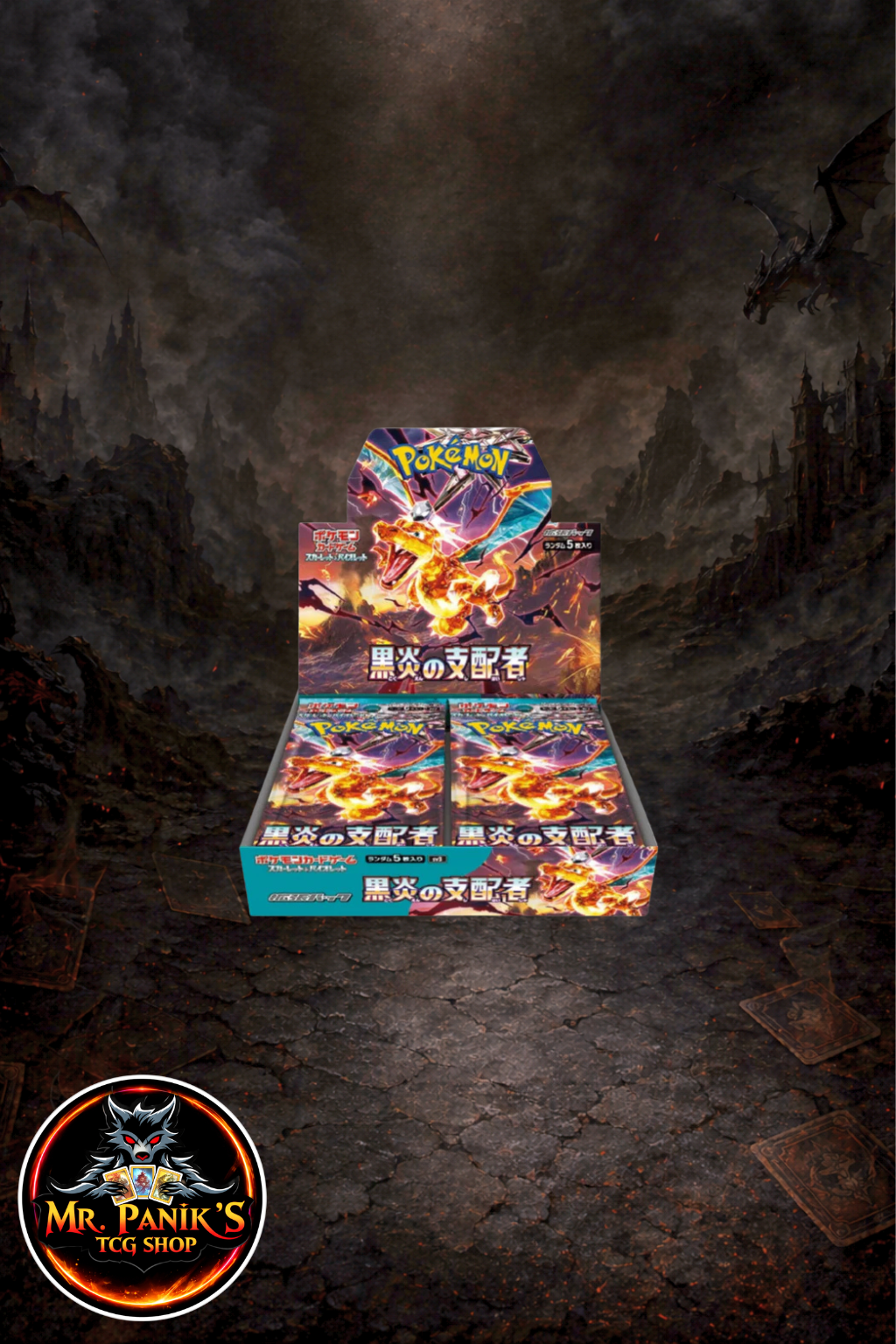 Pokemon Ruler of the Black Flame Display